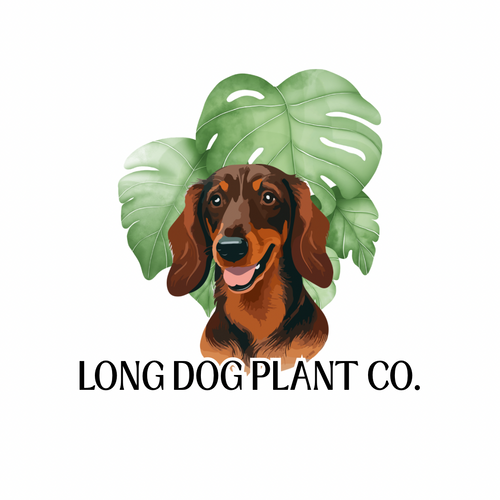 Long Dog Plant Co